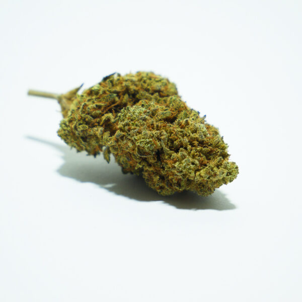 comprar Amnesia Haze CBD Buenahierba