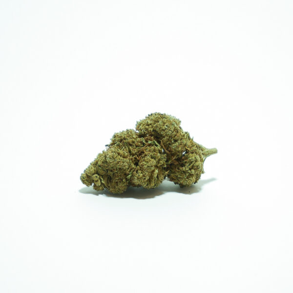 comprar Gelato CBD