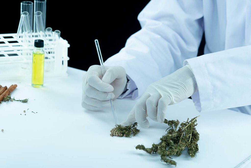 aceite cbd para la ansiedad