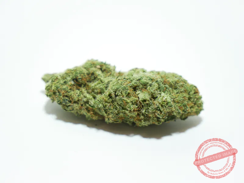 Cogollo Northern Lights CBD – Flor indoor rica en resina Cogollo de Northern Lights CBD indoor compacto y resinoso