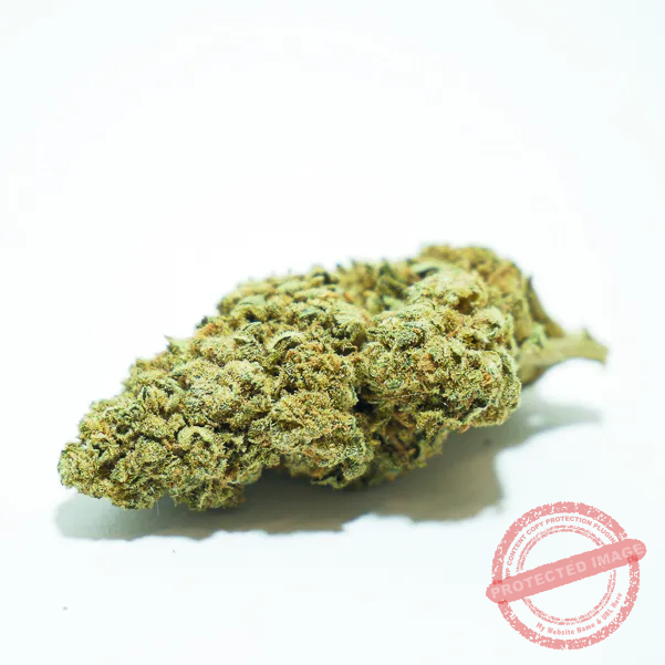 Cogollo Super Lemon Haze CBD Buenahierba Cogollo de Super Lemon Haze CBD indoor con aroma cítrico y aspecto resinoso