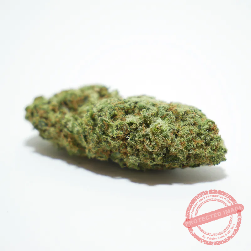 Northern Lights CBD – Aroma a pino y perfil índica clásico detalle-cogollo-northern-lights-cbd.webp
