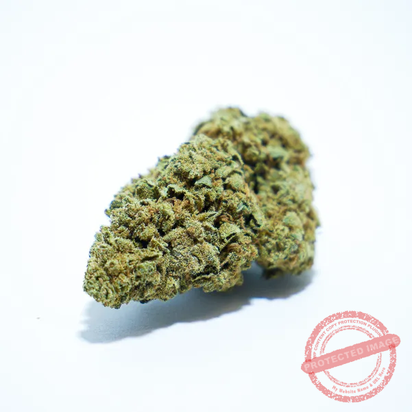 Detalle de cogollo Super Lemon Haze CBD de cultivo indoor Detalle de cogollo Super Lemon Haze CBD indoor con estructura compacta y tonos verdes claros