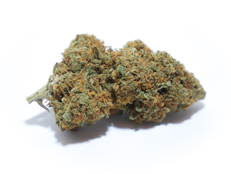 flores CBD mas populares en España