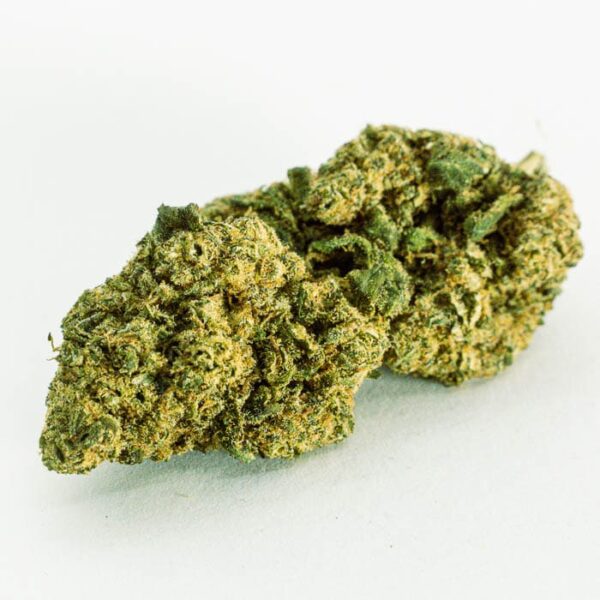 Orange Cookies CBD