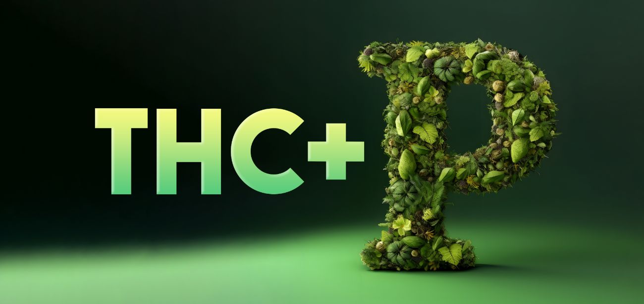 THCp