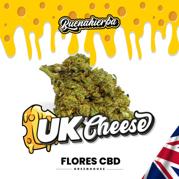 UK Cheese CBD