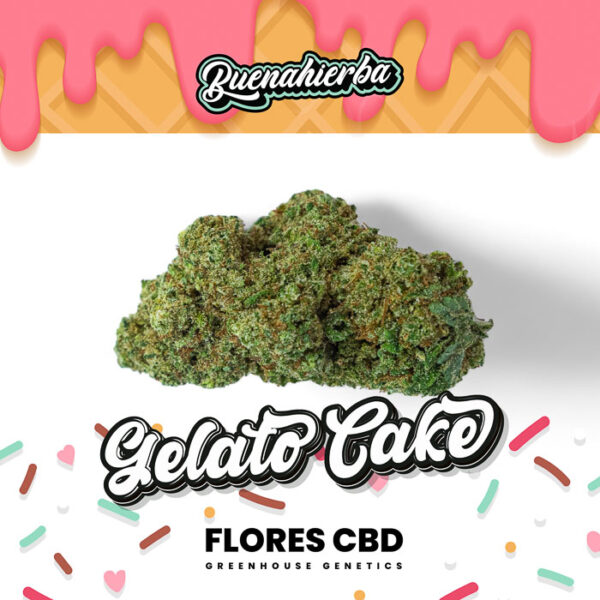 Gelato Cake flores cbd invernadero