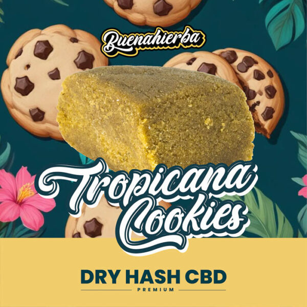 Tropicana Cookies CBD
