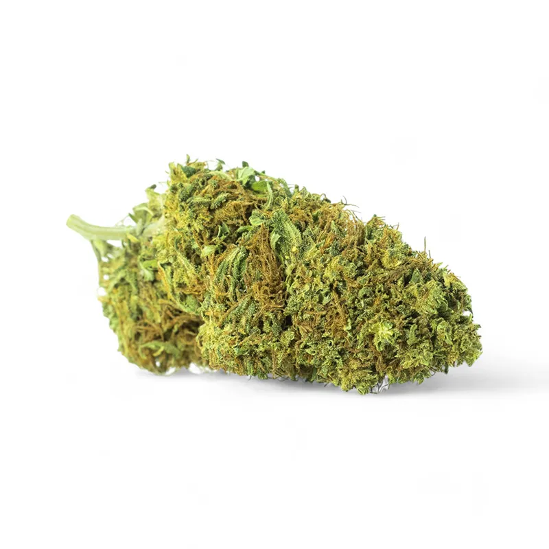 Detalle Gorilla Glue CBD indoor – flor premium Buenahierba Detalle de cogollo Gorilla Glue CBD indoor con alta presencia de tricomas