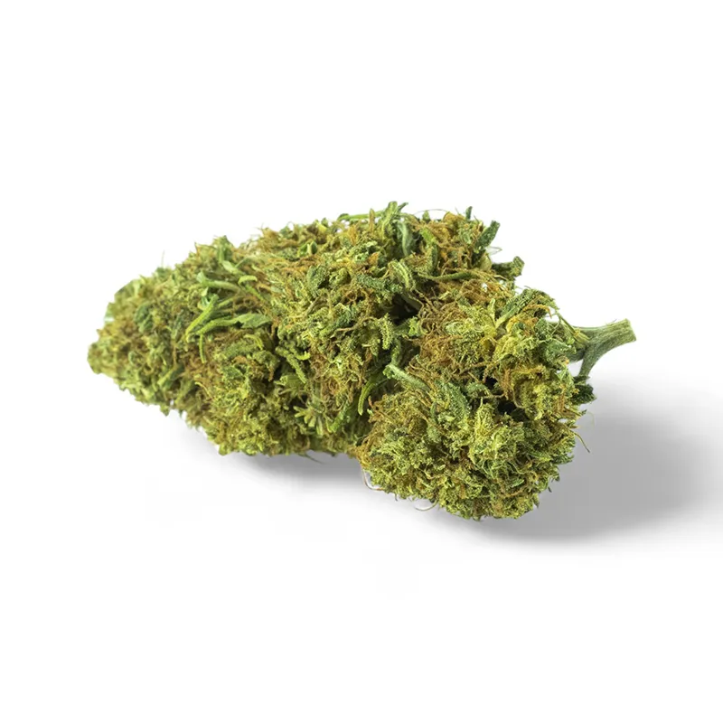 Gorilla Glue CBD – cogollo indoor premium | Buenahierba Cogollo de Gorilla Glue CBD indoor premium con estructura compacta y tricomas visibles