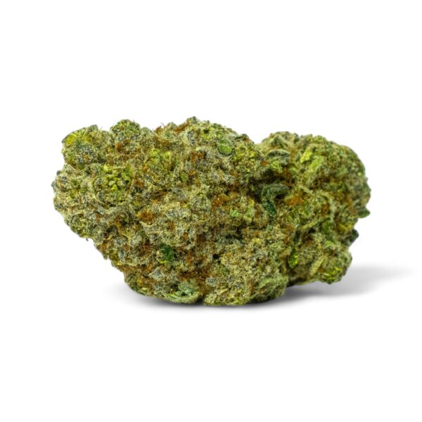 primer plano flor de cbd biscotti