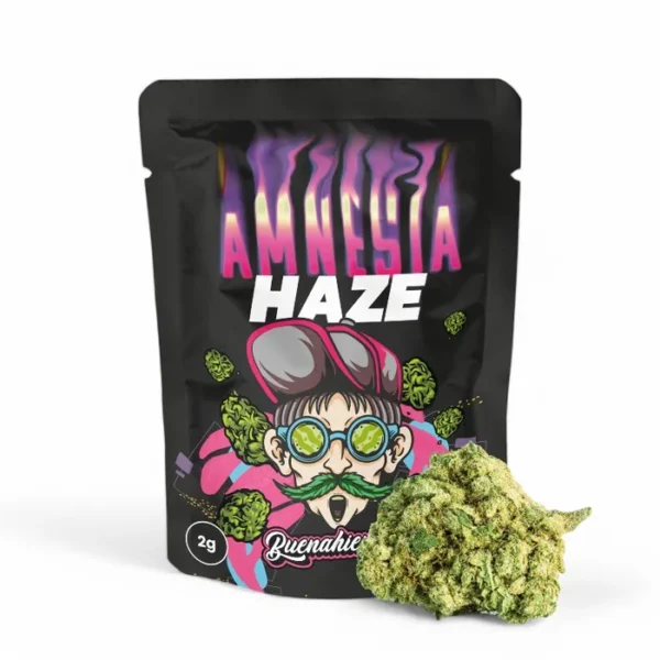 Amnesia Haze cbd
