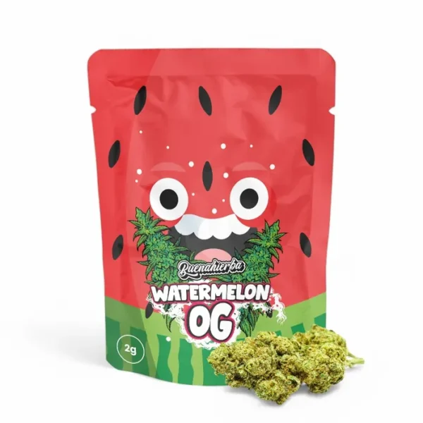 Watermelon OG CBD