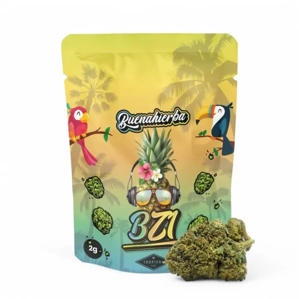 bz1 cbd