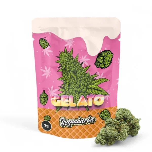 gelato cbd
