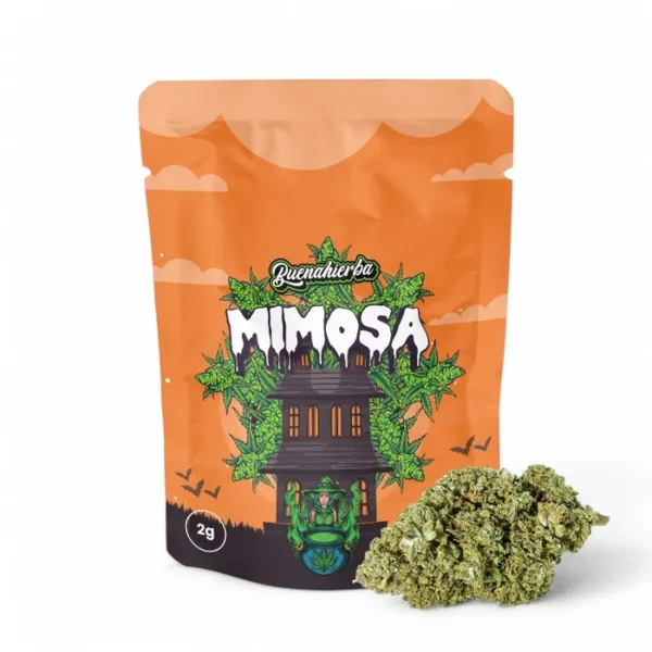mimosa cbd