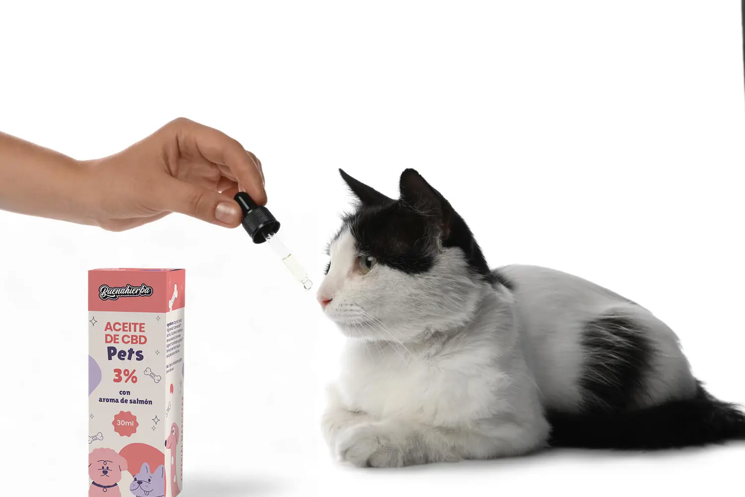 dosis cbd para mascotas