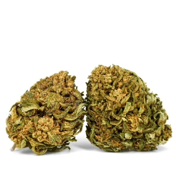 Cogollos de Somango CBD Outdoor – Flor de CBD de exterior en Buenahierba