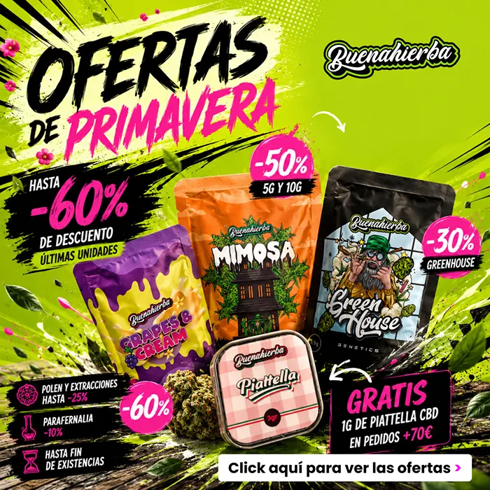 ofertas cbd