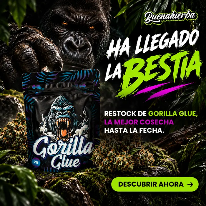restock de gorilla glue